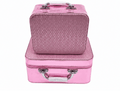 Metallic Pink Vanity Case Set of 2 – With Mirror & Chrome Handles - BlushBox Co